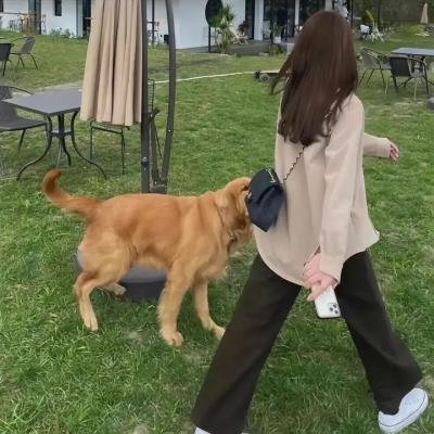 风中的火焰